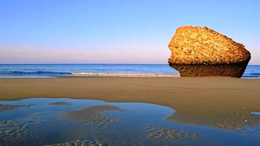 Parada Taxi Matalasca&ntilde;as Virtual Ca&ntilde;o Guerrero