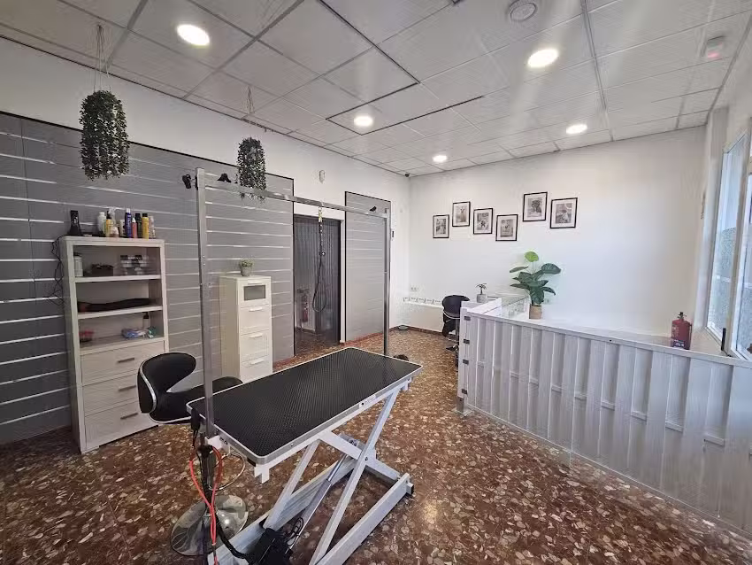 PARADA TAXIS CARRETERA DE CARMONA