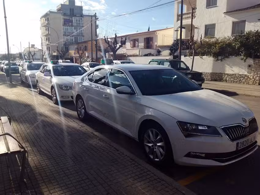 radio taxi ribes 24h