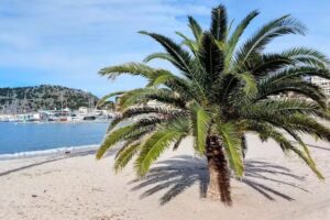 R&agrave;dio Taxi S&oacute;ller