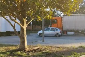 Ram&oacute;n Comelles Altarriba