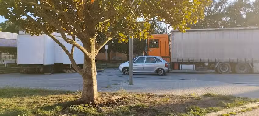 Ram&oacute;n Comelles Altarriba