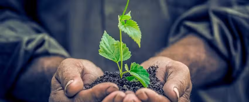 Residuos Cabez&oacute;n