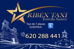 Ribex Taxi