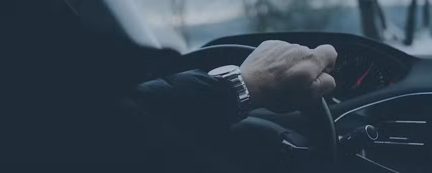 RicoTaxi &ndash; Taxi bajo reserva en Vitoria-Gasteiz