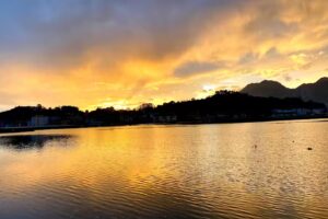 Riosellana del Taxi S.Coop. Astur