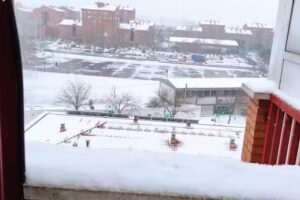 Silvia S&aacute;nchez San Mauricio