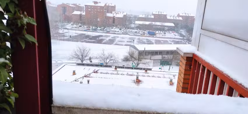 Silvia S&aacute;nchez San Mauricio