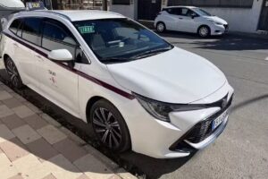 Taxi 1 urbanizaci&oacute;n la marina- San Fulgencio