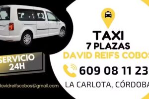 Taxi 7 plazas David Reifs