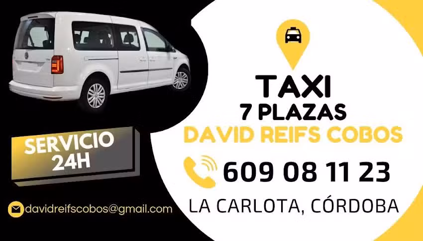 Taxi 7 plazas David Reifs