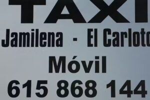 TAXI 8 PLAZAS ADAPTADO JUAN LIEBANA