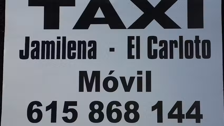 TAXI 8 PLAZAS ADAPTADO JUAN LIEBANA