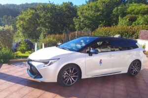 Taxi Alba Luaces Lamela