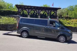 TAXI BASAURI-RADIO TAXI NERVIÓN