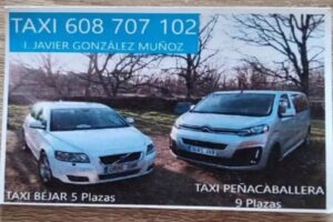 TAXI BEJAR IGNACIO JAVIER GONZ&Aacute;LEZ MU&Ntilde;OZ