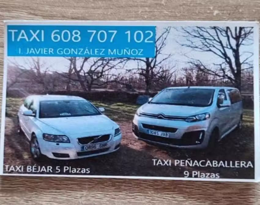 TAXI BEJAR IGNACIO JAVIER GONZ&Aacute;LEZ MU&Ntilde;OZ