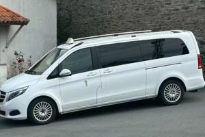 Taxi Coir&oacute;s Lic.2