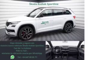 Taxi David Lloret de Mar