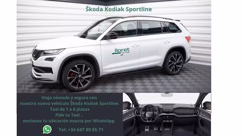 Taxi David Lloret de Mar