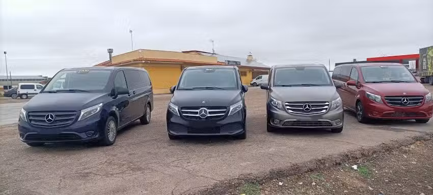 Taxi David Rodr&iacute;guez Gonz&aacute;lez