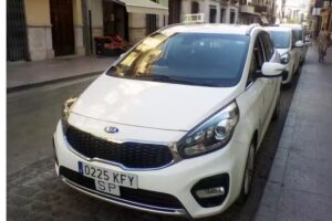 Taxi Domingo L&oacute;pez Ballesteros