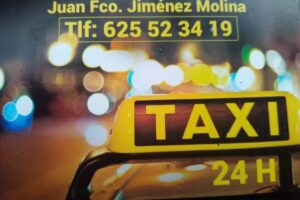 TAXI ECIJA 24h.