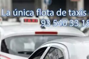 Taxi El Masnou &ndash; Asociaci&oacute;n de Taxis del Masnou