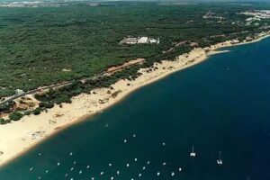 Taxi El Rompido, El Portil, Jilguero 24 Horas.
