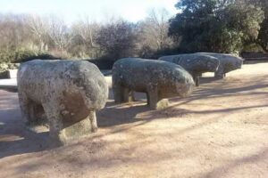 Taxi El Tiemblo Jos&eacute; Antonio Reviejo