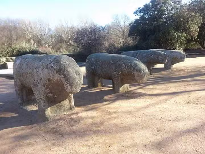 Taxi El Tiemblo Jos&eacute; Antonio Reviejo