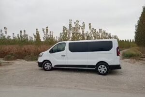 Taxi Francisco Silva