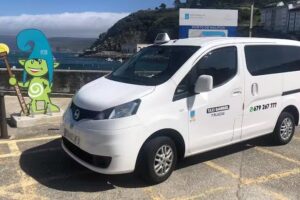 Taxi Gabriel Camari&ntilde;as