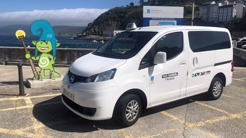 Taxi Gabriel Camari&ntilde;as