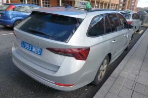 Taxi Getxo Pilar L&oacute;pez Mosquera