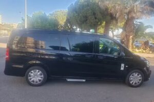 Taxi Gregorio &ndash; Alta gama, adaptado, transfer 9 plazas