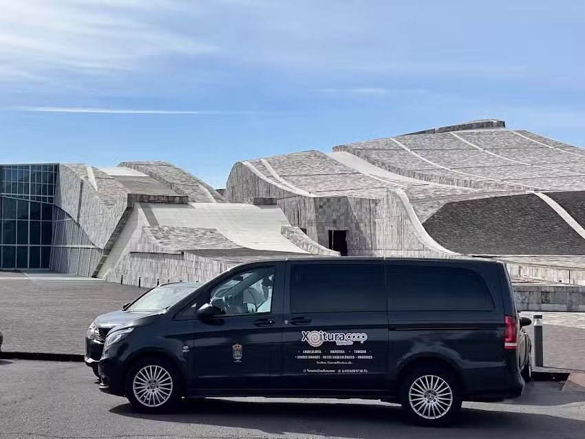 Taxi Hector 9+8 plazas