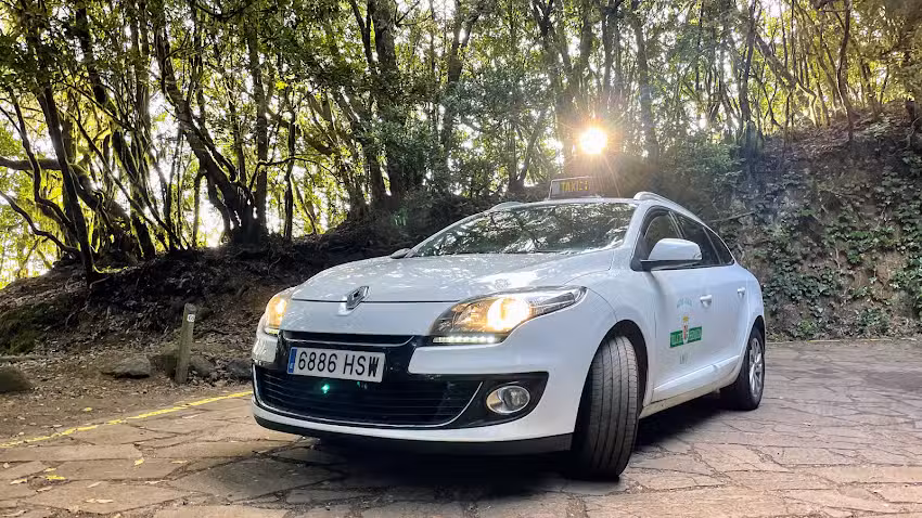 Taxi Hermigua Cristian. ️ Excursiones La Gomera
