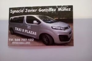 TAXI IGNACIO JAVIER GONZÁLEZ MUÑOZ