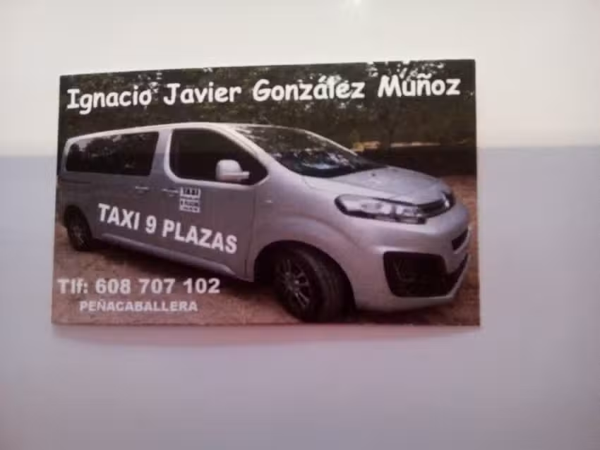 TAXI IGNACIO JAVIER GONZ&Aacute;LEZ MU&Ntilde;OZ