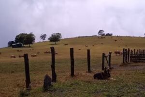 Taxi illano &ndash; La Monta&ntilde;a