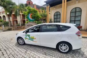 Taxi Ingenio Ana&Miguel