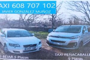 Taxi Javi Gonz&aacute;lez Mu&ntilde;oz