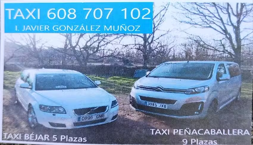 Taxi Javi Gonz&aacute;lez Mu&ntilde;oz