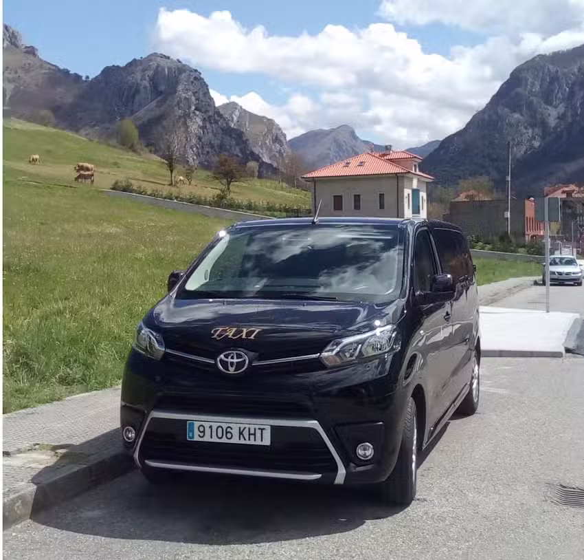 Taxi Joaqu&iacute;n Ruis&aacute;nchez