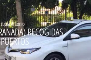 Taxi La Zubia Antonio
