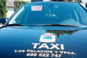 Taxi Los Palacios