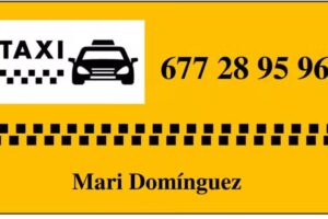 Taxi Mari Lasarte-Oria