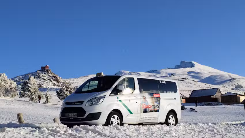 Taxi Mar&iacute;a Inmaculada Molina Bedmar