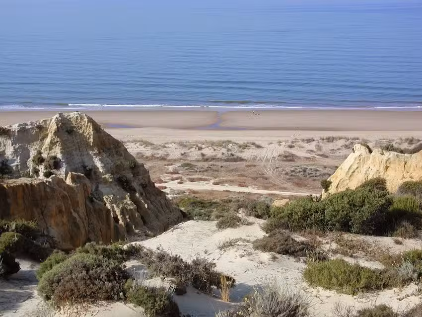 Taxi Mazag&oacute;n Moguer SERVITAXI